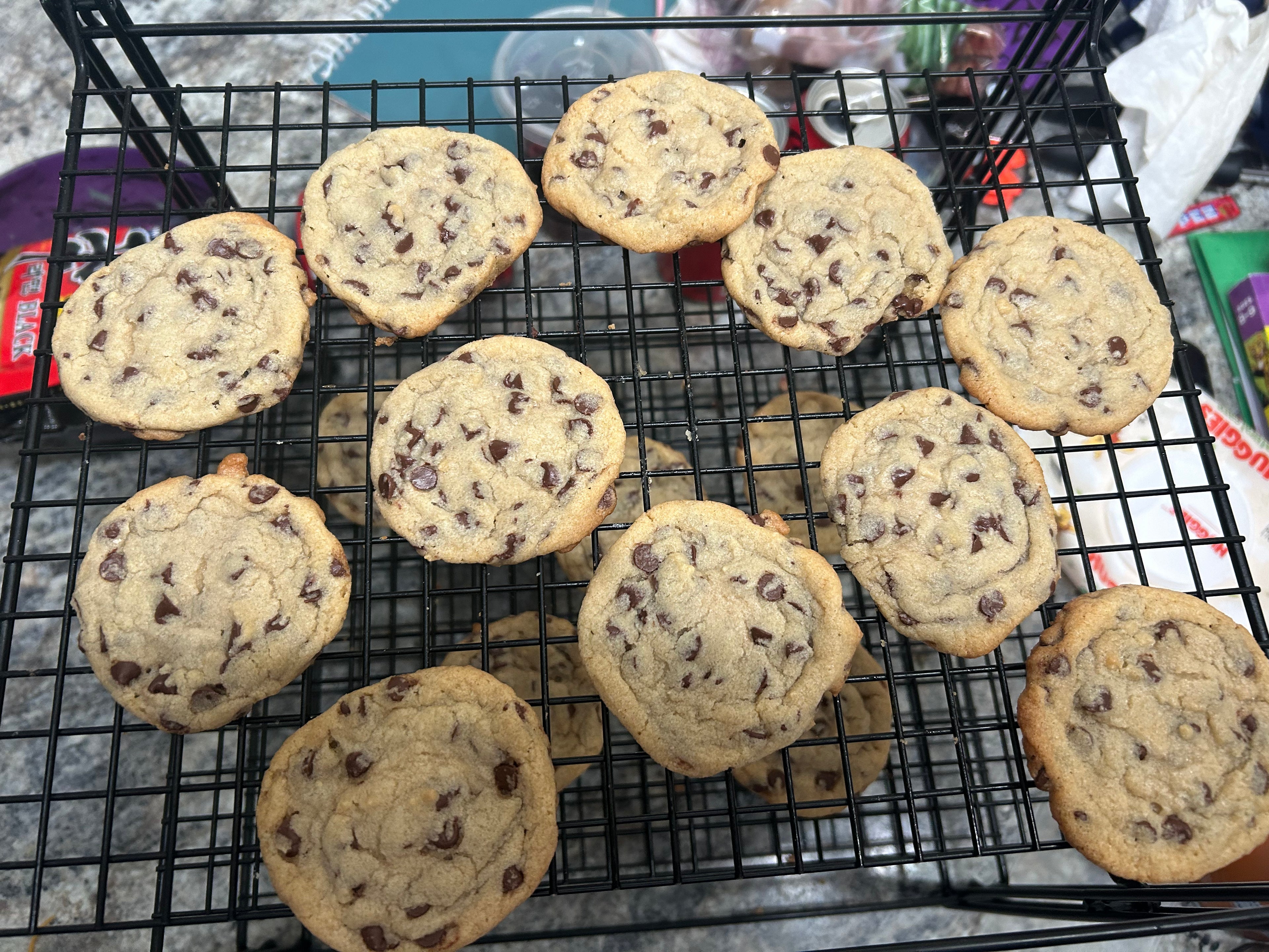 Chocolate Chip Cookies 1 Doz